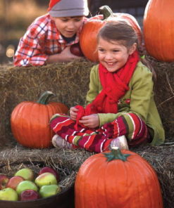 Hayride