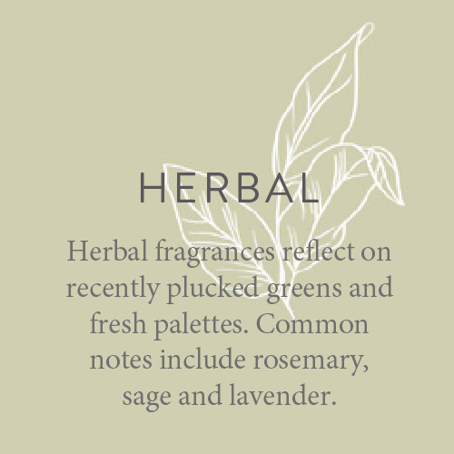Fragrance candles Herbal fragrances reflect on recently plucked greens and fresh palettes. Common notes include rosemary, sage and lavender.